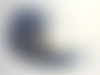 A Seagull, a mini palette and artjournal pages.