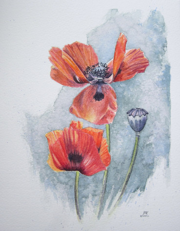 Poppies