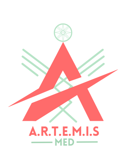 A.R.T.E.M.I.S (50 x 50 cm) (50 x 65 cm).png