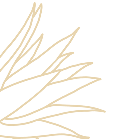 Native Plants illustration