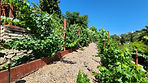 image000000(1).jpg