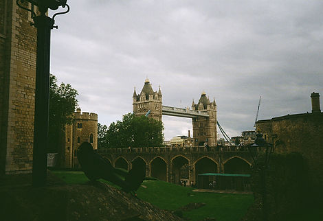 IMG_7939.JPG