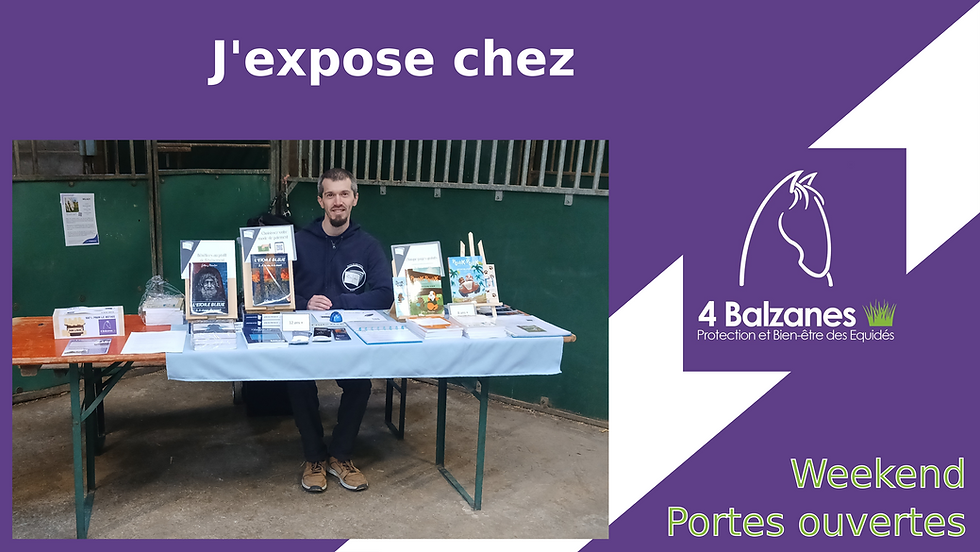 Soignies - Portes ouvertes du refuge 4 Balzanes