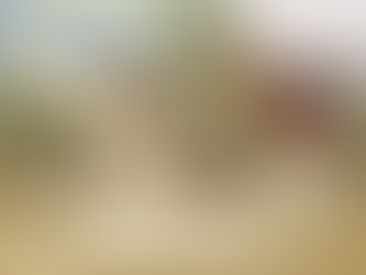 5 Things My Clients Learned the Hard Way in Real Estate