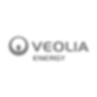 VEOLIA ENERGY L