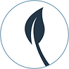 Movement Leaf 1 (500x500px).png