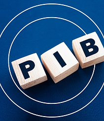 PIB.png