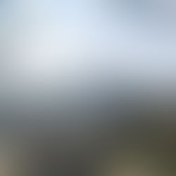 natur pur