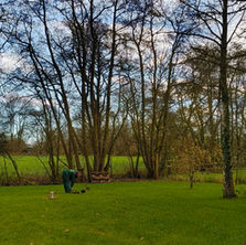 ... und jetzt noch DER gartenfinish vor dem winter 😉