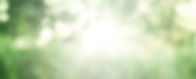 White Modern Spa (Banner (Landscape)) (1)_edited.jpg