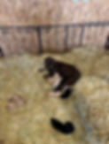 IMG_4880.jpeg