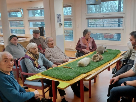 Calinouthérapie ☺