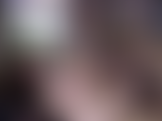 OPÉRATION "CHÂTAIGNES " (Suite et Fin) du 28 octobre