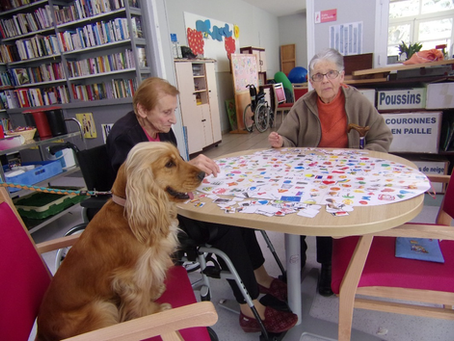 ROMY, JAZZ et GRIGRI (Médiation animale)