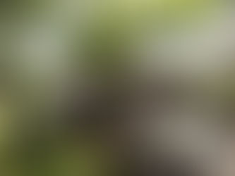 DÉCONFINEMENT AU PARC DE L'OUSTAL