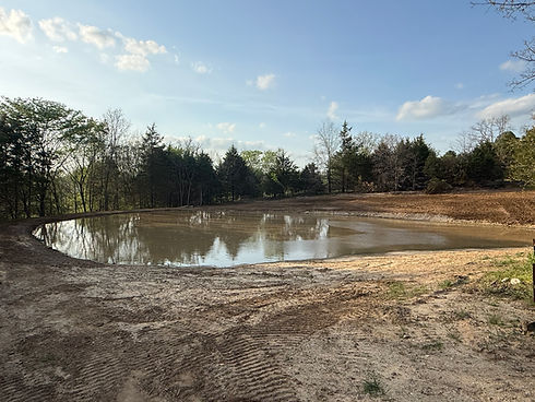 Pond