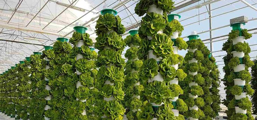 UK’s Largest Vertical Farm that Uses Only Sunlight Begins First Harvest.jpeg