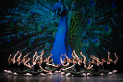 03510_NIKON Z 7_20220626_NZ7_1316.JPG