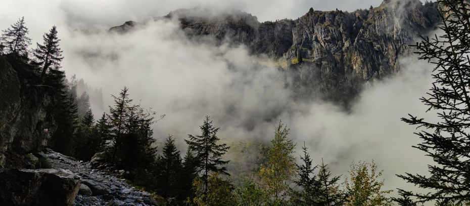 Freedom in Beta: The Entrepreneurial Voyage Between Seas and Summits