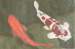KOI FISH