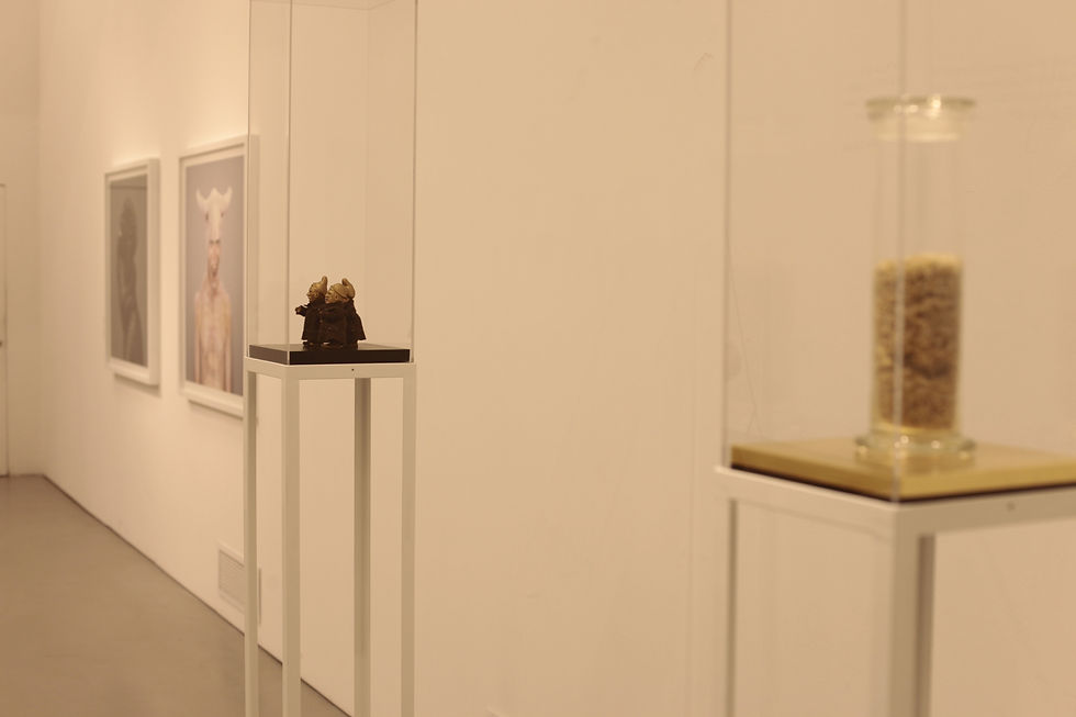 I Belgi, Barbari e Poeti, MACRO (Museo d'Arte Contemporanea di Roma), Rome, Italy, 2015