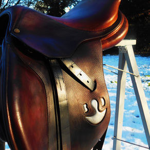 J'ai testé la boutique de selles haut de gamme d'occasion Attractive saddle