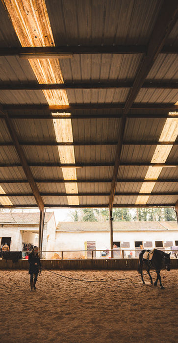 écurie-avec-manège-fontainebleau