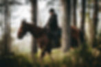 écurie-propriétaire-balade-forêt-balade-cheval-forêt-fontainebleau