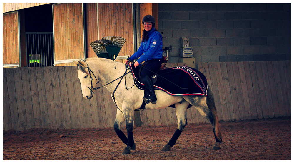 A Quoi Sert Les Fer A Cheval A quoi sert un couvre-reins