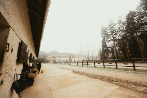 écurie-propriétaire-fontainebleau