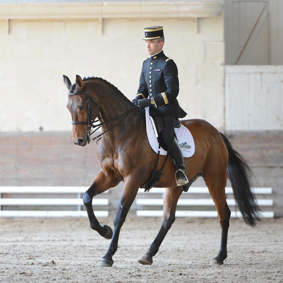Christian Roquet & Hibou_7945.JPG