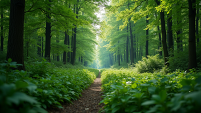 Preserving British Columbia's Natural Heritage: The Critical Need for Wildlife Conservation Amid Habitat Loss