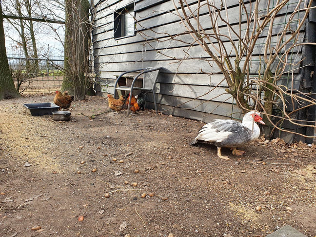 het begon een beetje te stinken