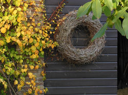 herfstkleuren