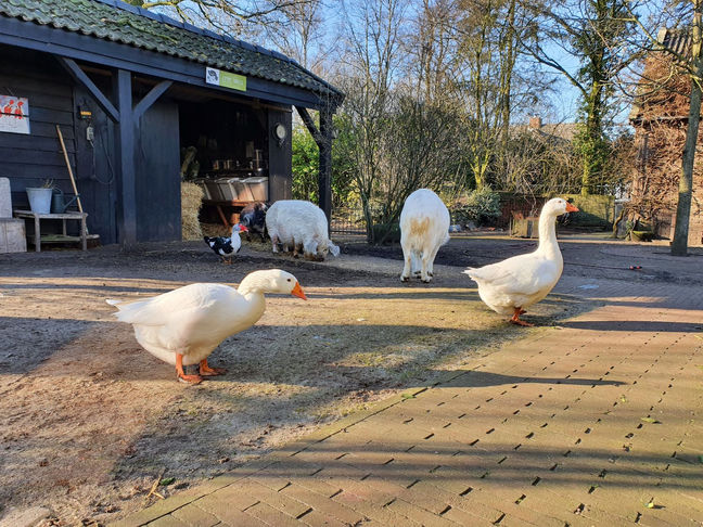 iedereen tevreden