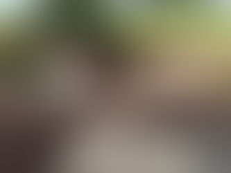 snoeien in fris herfstweer