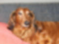 †Teun