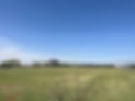 Field 5.jpg