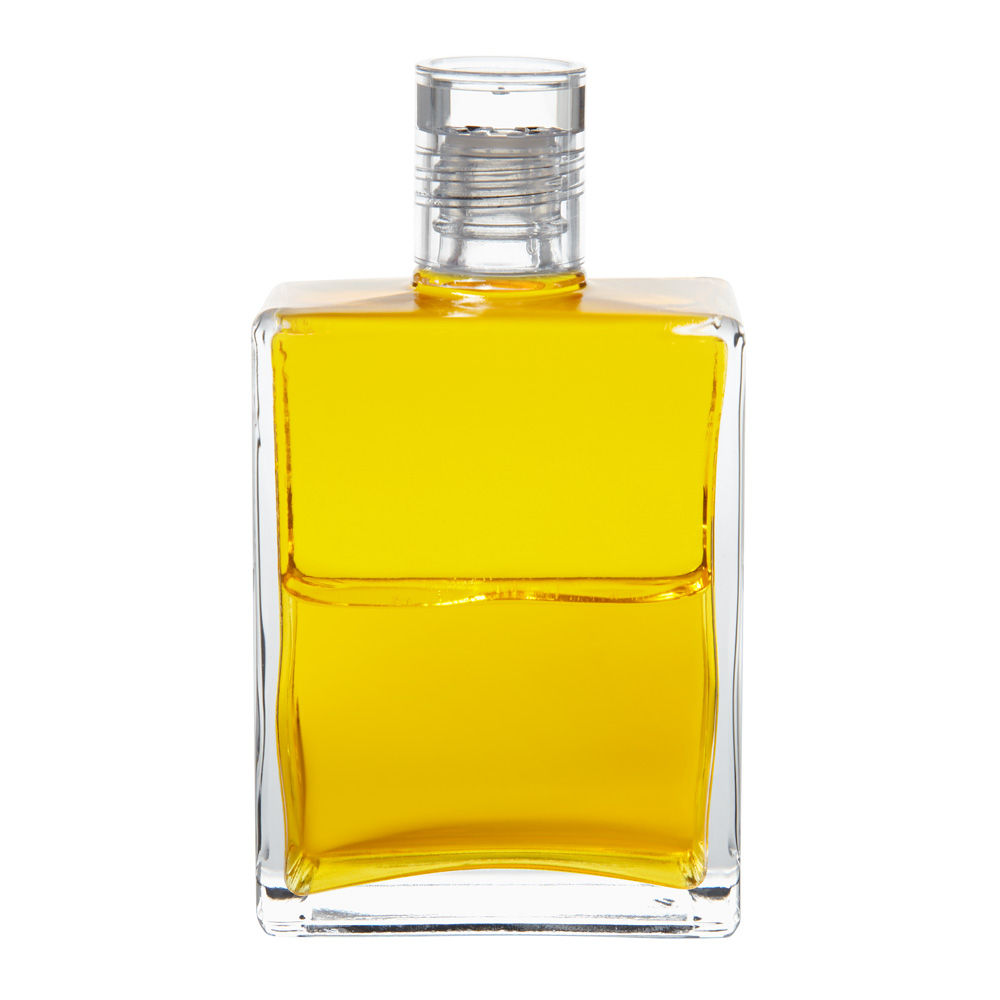 Bottle #42 Harvest - Yellow/Yellow