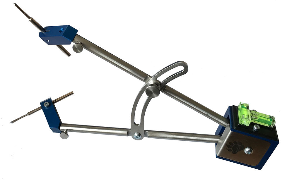 BrLog SCRIBER