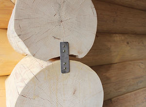 Log fixation plate