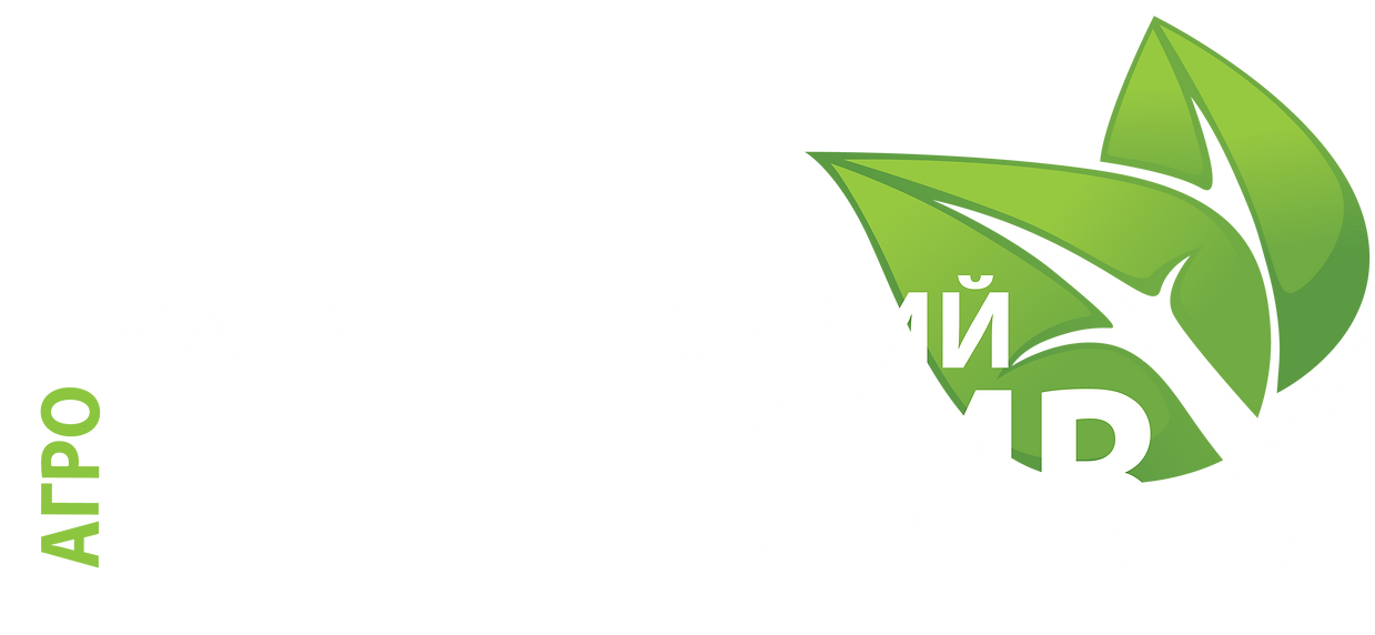 лого_интенсив_гот — копия (2).png