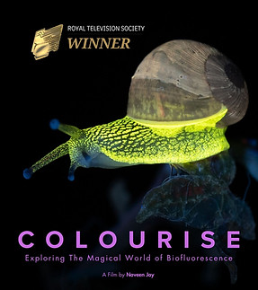 COLOURISE_POSTER-3.jpg