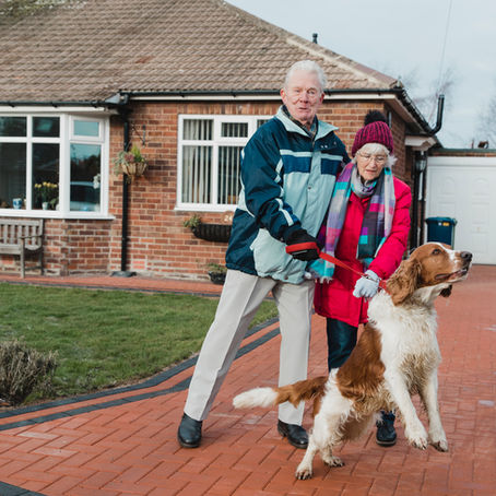 The Emotional Maze of Reactive Dog Caregiving - Shifting the Burden