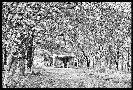 CABIN May14th.jpg