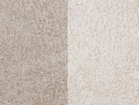 Signs it's time for a professional Cleaning: When your carpets need expert care