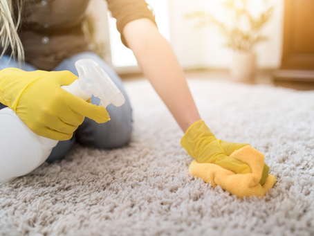 Caring for Different Carpet Materials