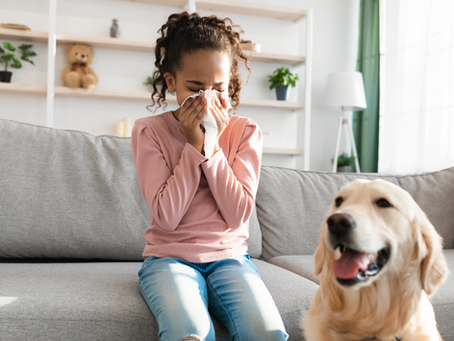 Carpet Cleaning and Allergies: Creating a Healthier Home Environment