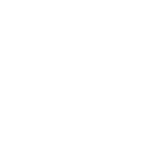 Vizeum_.png