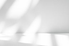 shutterstock_2400762127.jpg